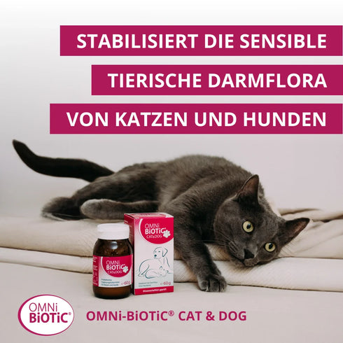 OMNi-BiOTiC CAT & DOG stabilisiert die sensible Darmflora von Katzen und Hunden