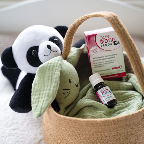 Ein Plüschpanda mit einer Packung OMNi-BiOTiC PANDA Tropfen