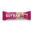 Eine Packung OMNi-POWER GUT BAR, 1 Riegel